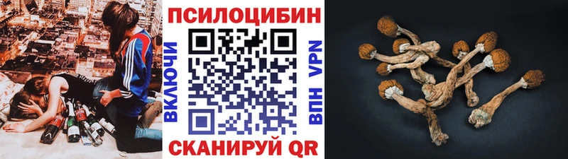 Псилоцибиновые грибы мухоморы  Трёхгорный 